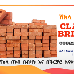 Clay Brick